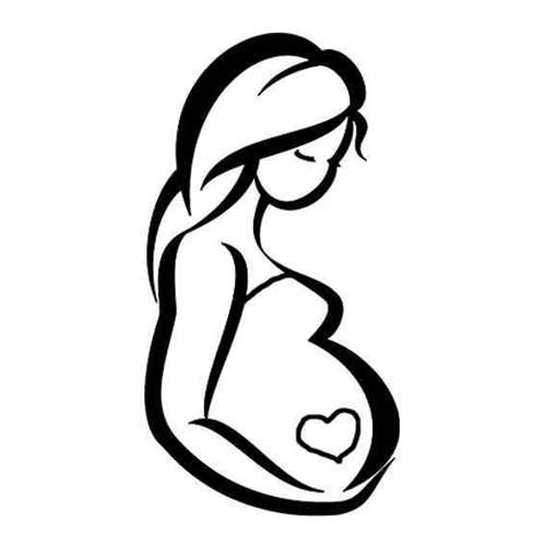 试管婴儿与人工受精：揭示两者间的奥秘与区别